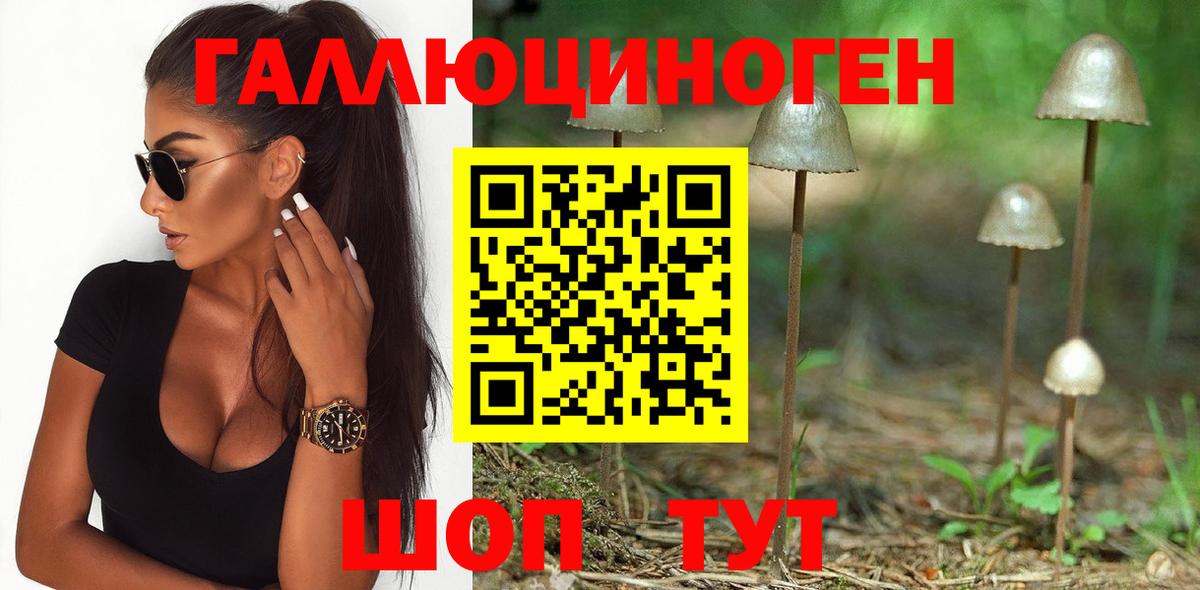 Псилоцибиновые грибы мухоморы Полевской